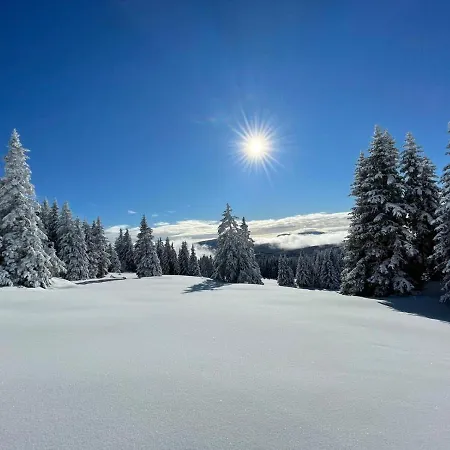 Im Almhaus Bachler * Gundisch