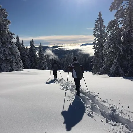 Im Almhaus Bachler * Gundisch