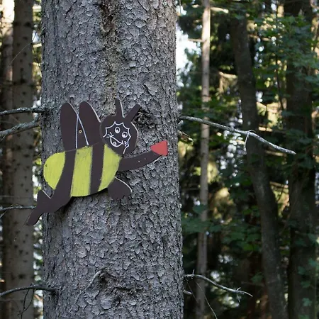 Im Almhaus Bachler Lägenhet *