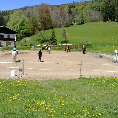 Διαμέρισμα Im Almhaus Bachler Gundisch