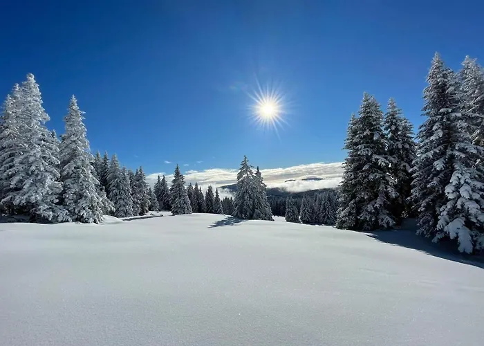 Im Almhaus Bachler * Gundisch