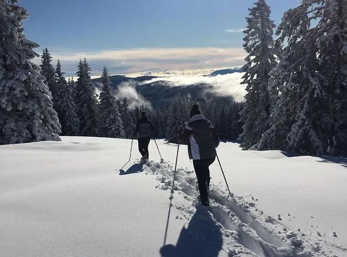 Im Almhaus Bachler * Gundisch