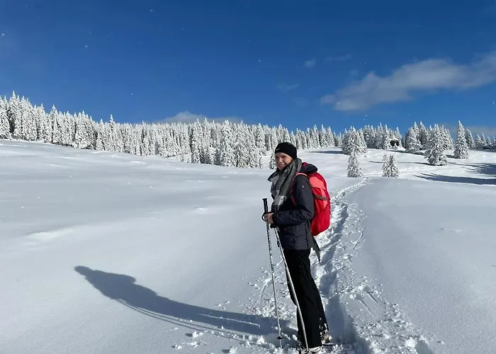 Im Almhaus Bachler Appartement