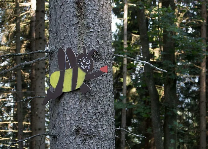 Im Almhaus Bachler Appartement *