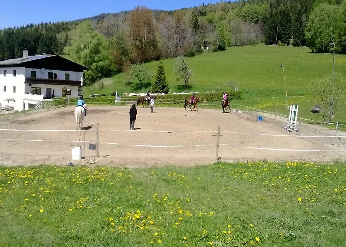 Appartement Im Almhaus Bachler Gundisch